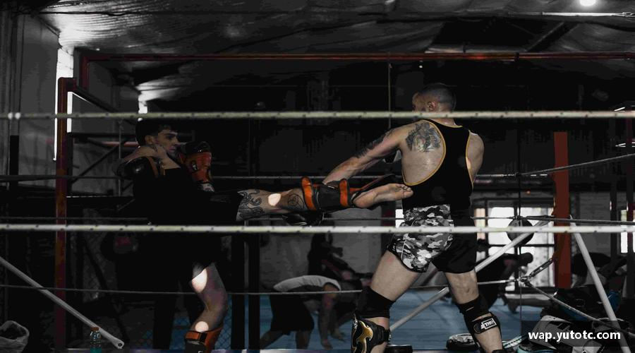 zoty中欧官方网站见证冠军诞生的瞬间！